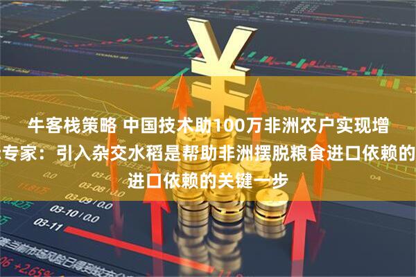 牛客栈策略 中国技术助100万非洲农户实现增产，国际专家：引入杂交水稻是帮助非洲摆脱粮食进口依赖的关键一步