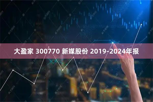 大盈家 300770 新媒股份 2019-2024年报