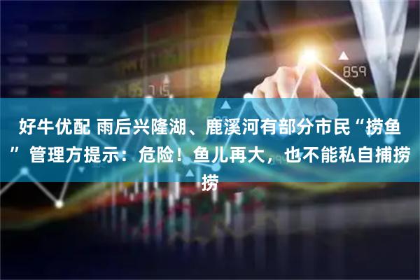 好牛优配 雨后兴隆湖、鹿溪河有部分市民“捞鱼” 管理方提示：危险！鱼儿再大，也不能私自捕捞